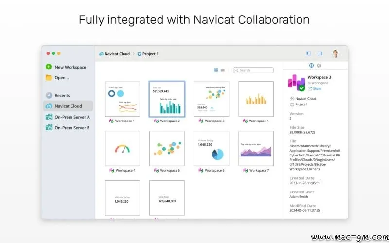 Navicat BI v2.1.9 数据可视化工具 Mac版 For Mac 智能自动化 数据库工具 中文版