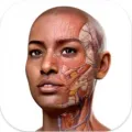 医学三维人体解剖软件 Complete Anatomy v12.6.0 Mac版 For Mac 中文版