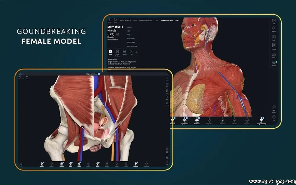 医学三维人体解剖软件 Complete Anatomy v12.6.0 Mac版 For Mac 中文版