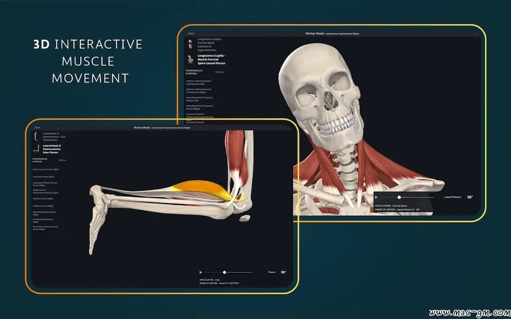 医学三维人体解剖软件 Complete Anatomy v12.6.0 Mac版 For Mac 中文版