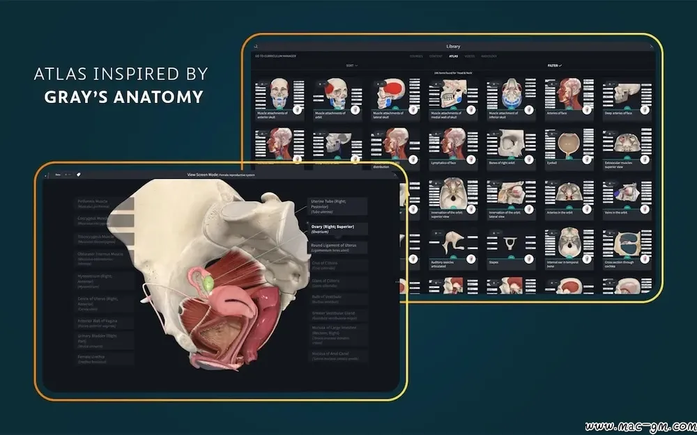 医学三维人体解剖软件 Complete Anatomy v12.6.0 Mac版 For Mac 中文版