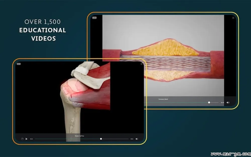医学三维人体解剖软件 Complete Anatomy v12.6.0 Mac版 For Mac 中文版