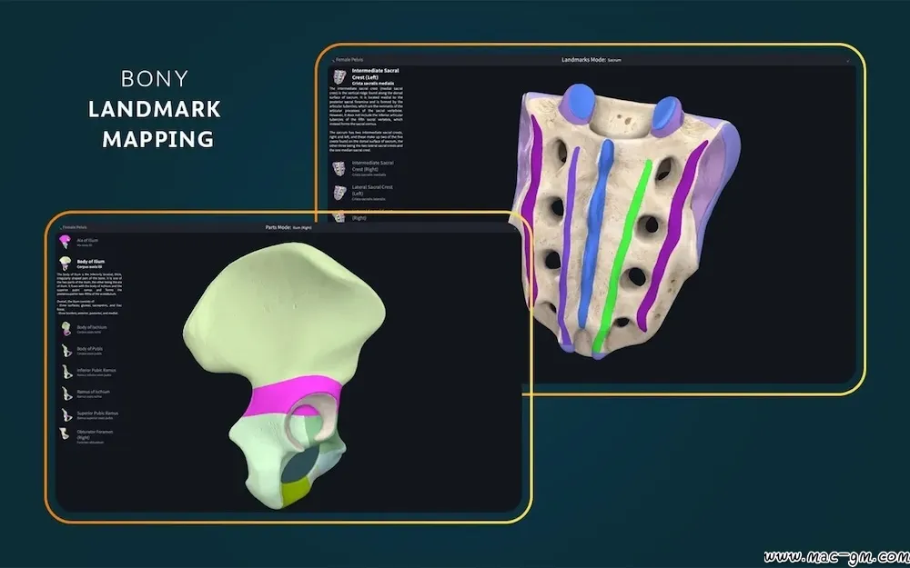 医学三维人体解剖软件 Complete Anatomy v12.6.0 Mac版 For Mac 中文版