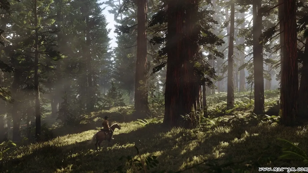 荒野大镖客2 Red Dead Redemption 2 v1436.28 Mac版 For Mac 生存