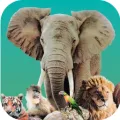 方舟动物园 Ark Nova v1.3.0 Mac版 For Mac 策略 建造 中文版