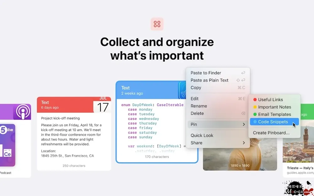 Paste v6.5.2 剪贴板工具 Mac版 For Mac 浏览器工具 备份同步 中文版