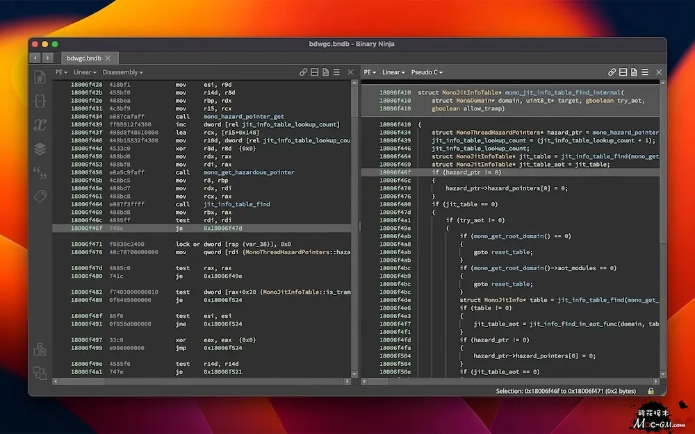 Binary Ninja v6.0.10601-personal Mac版 For Mac 英文版