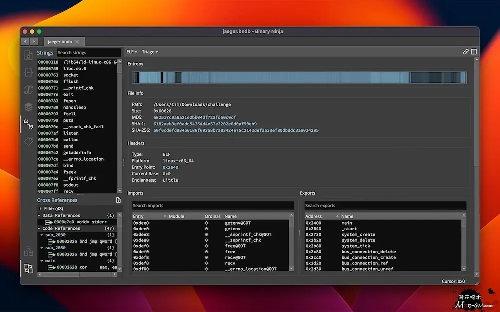 Binary Ninja v6.0.10601-personal Mac版 For Mac 英文版