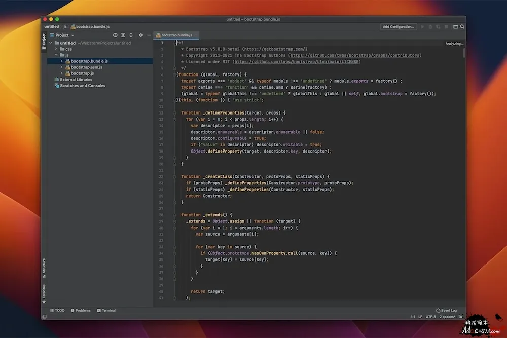 JetBrains WebStorm WEB v2026.2.3 开发设计软件 Mac版 For Mac 智能自动化 文本编辑 中文版