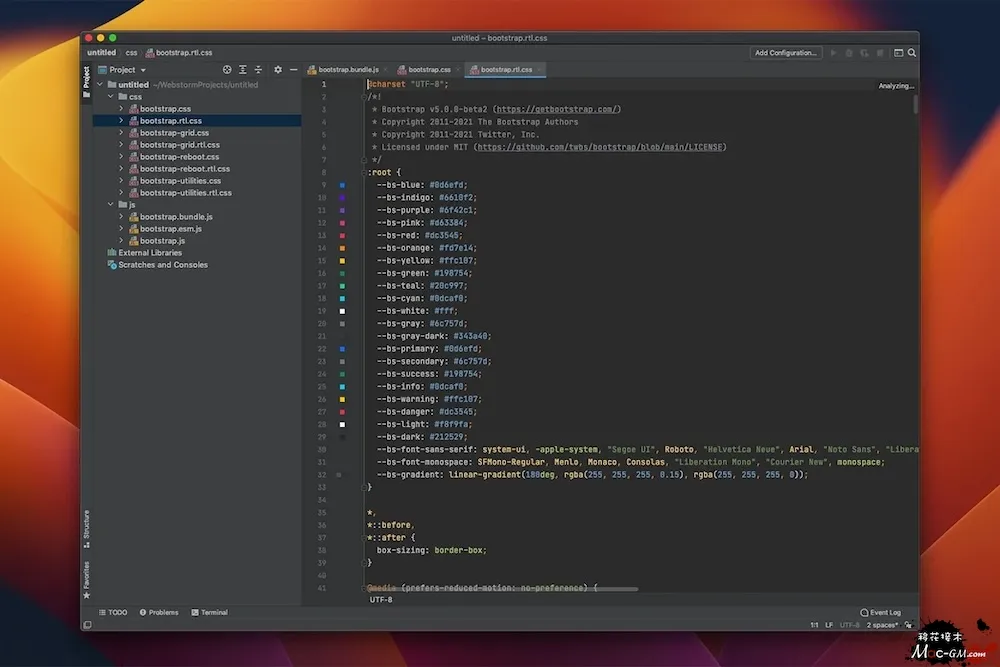 JetBrains WebStorm WEB v2026.2.3 开发设计软件 Mac版 For Mac 智能自动化 文本编辑 中文版