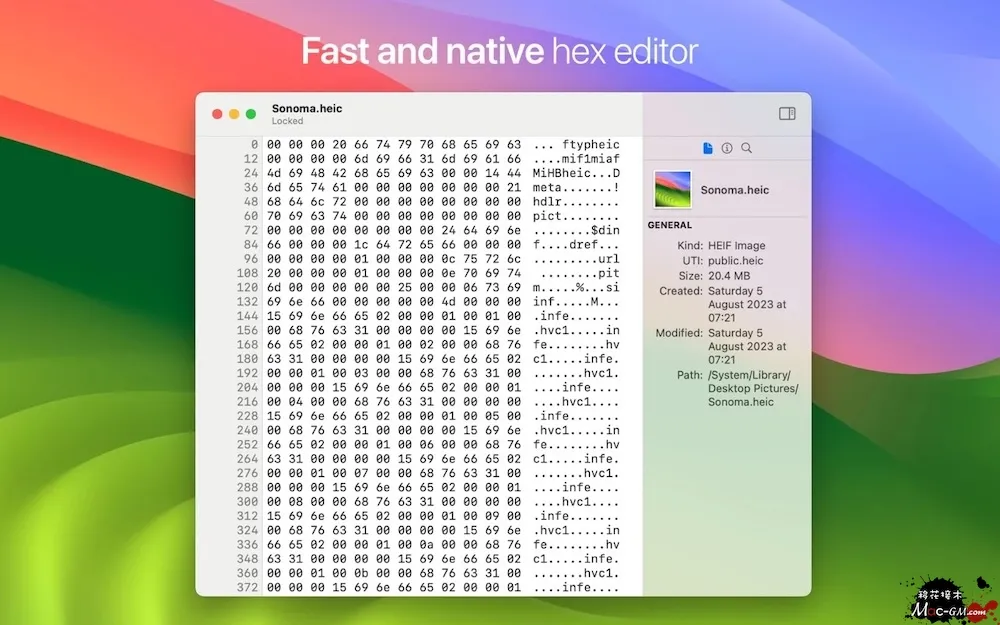 HextEdit v1.1 轻量级十六进制编辑器 Mac版 For Mac 文本编辑 英文版