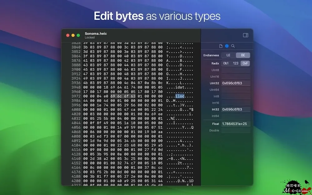 HextEdit v1.1 轻量级十六进制编辑器 Mac版 For Mac 文本编辑 英文版