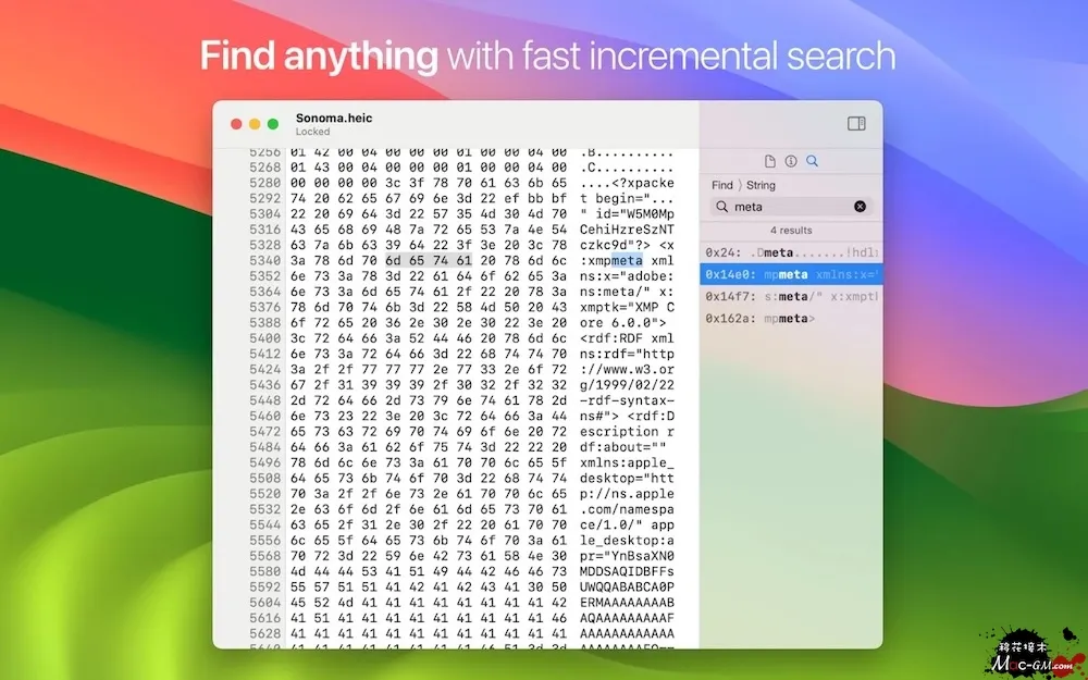 HextEdit v1.1 轻量级十六进制编辑器 Mac版 For Mac 文本编辑 英文版