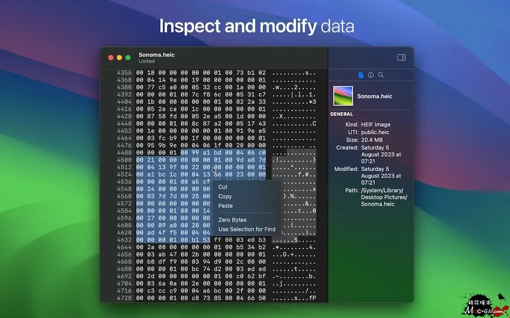 HextEdit v1.1 轻量级十六进制编辑器 Mac版 For Mac 文本编辑 英文版