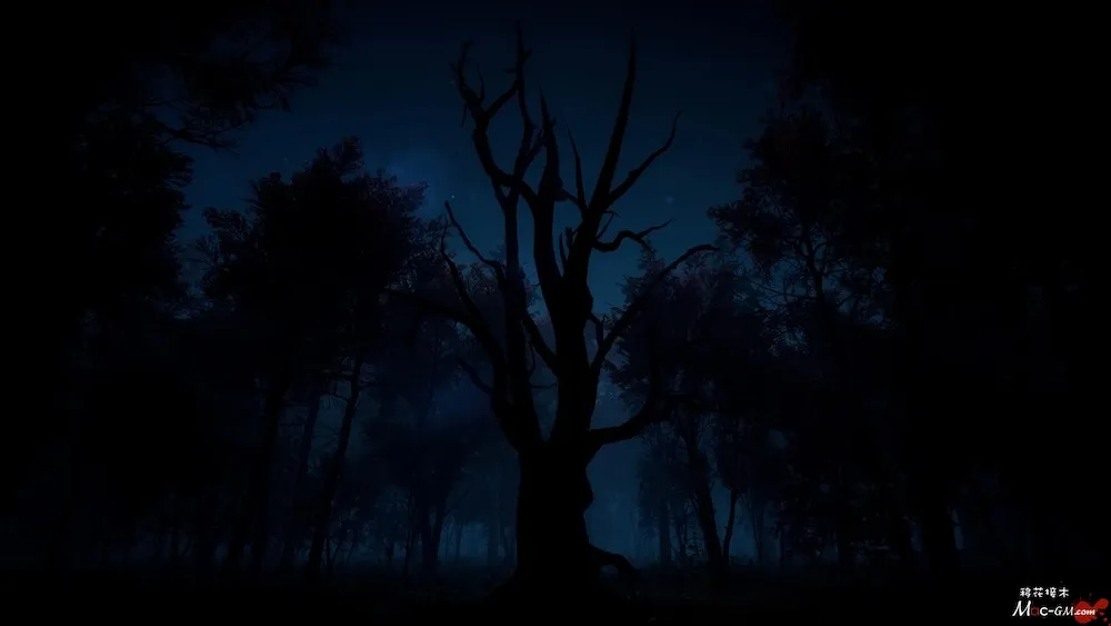 瘦长鬼影:降临 Slender: The Arrival v3.0.46 Mac版 For Mac 生存恐怖