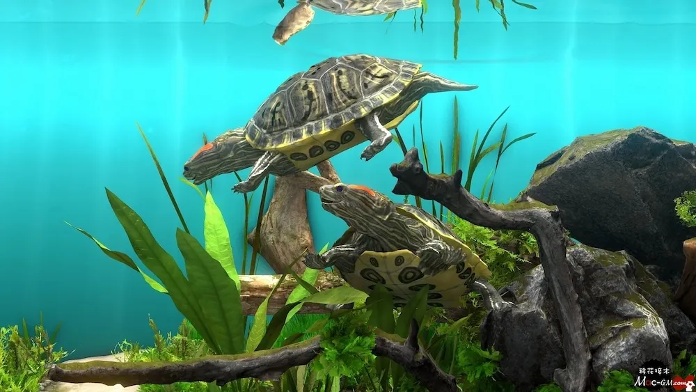 玻璃背后:水族馆模拟器 Behind Glass: Aquarium Simulator v1.5 Mac版 For Mac 水族馆模拟 中文版