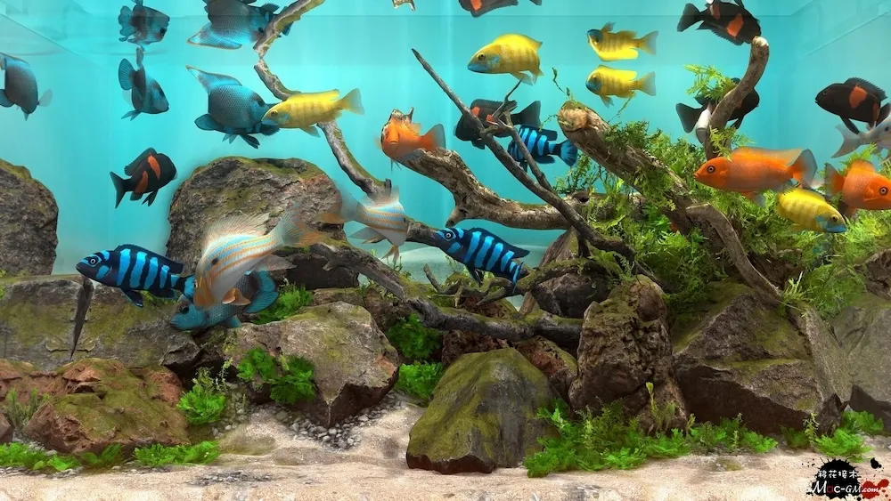 玻璃背后:水族馆模拟器 Behind Glass: Aquarium Simulator v1.5 Mac版 For Mac 水族馆模拟 中文版