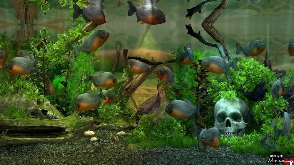 玻璃背后:水族馆模拟器 Behind Glass: Aquarium Simulator v1.5 Mac版 For Mac 水族馆模拟 中文版
