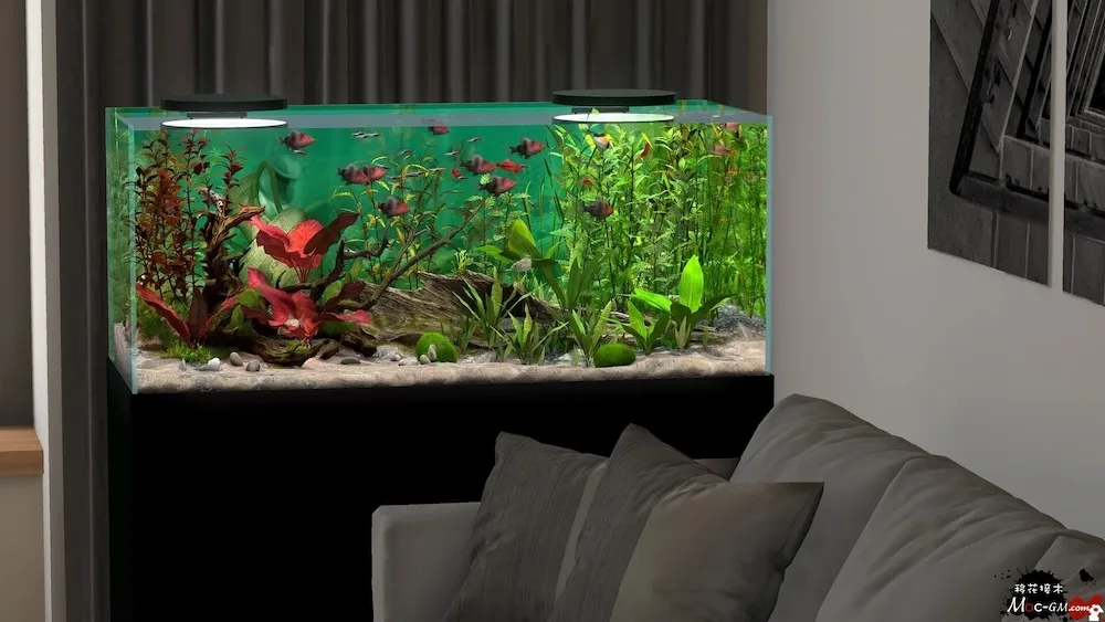 玻璃背后:水族馆模拟器 Behind Glass: Aquarium Simulator v1.5 Mac版 For Mac 水族馆模拟 中文版
