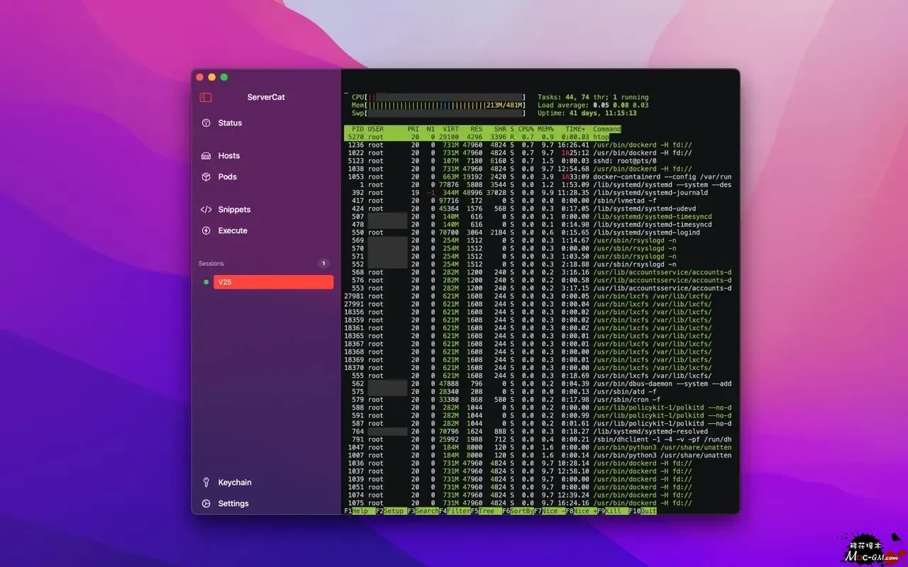 ServerCat - SSH Terminal v26.9.2 SSH 终端 Mac版 For Mac 开发工具 中文版