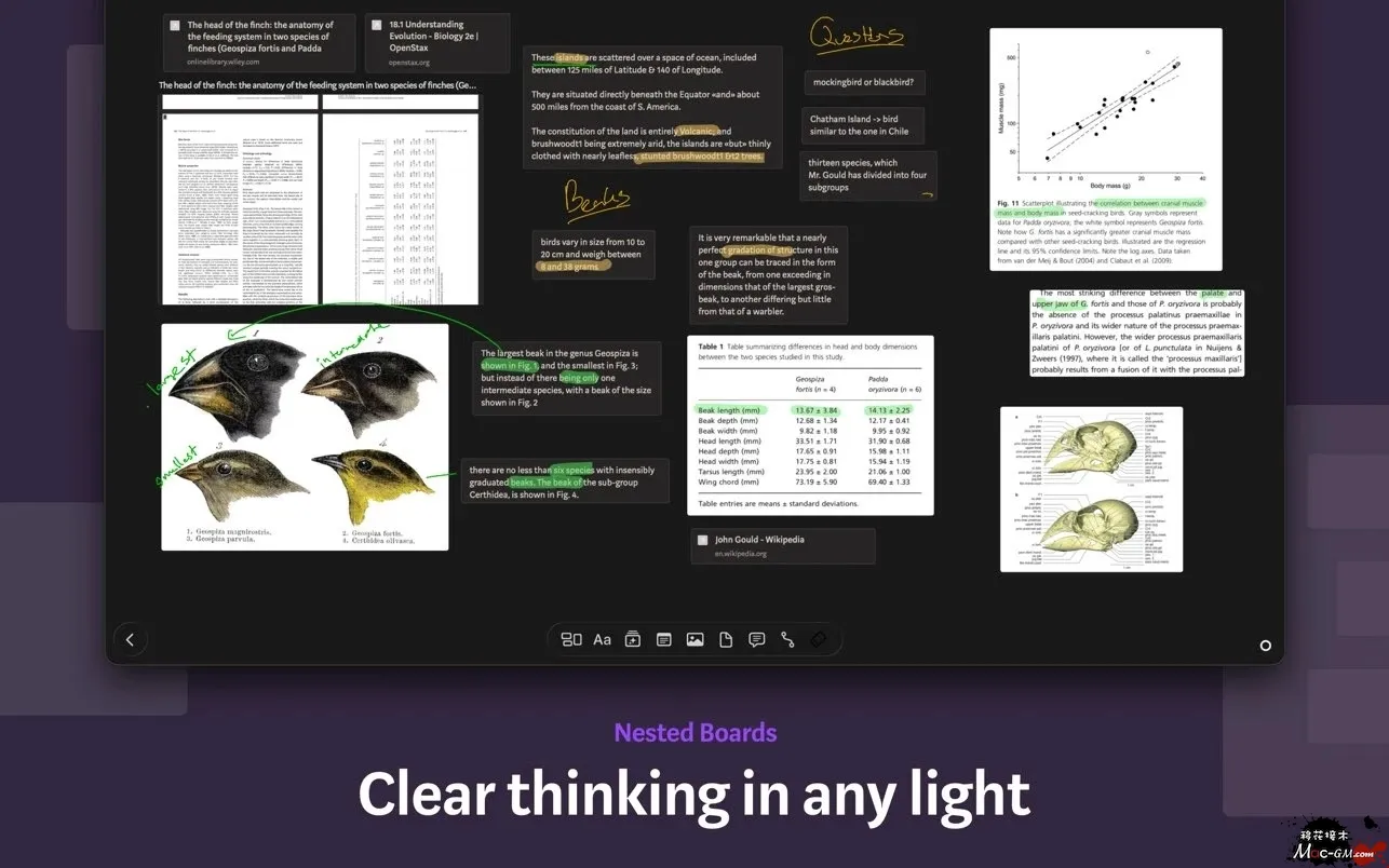 Allume v4.0.2 思维画布类效率工具 Mac版 For Mac 英文版
