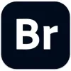 Adobe Bridge v16.0.8 创意素材管理软件 Mac版 For Mac 中文版