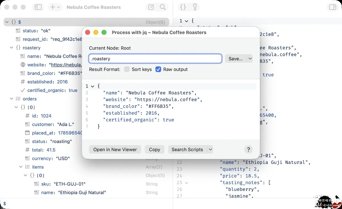 OK JSON v3.1 Mac版 JSON格式化与查询工具 中文版